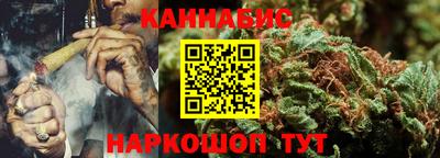 индика Будённовск